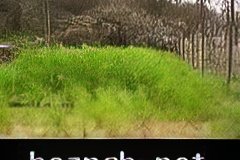 288-topaz-low-resolution-2x