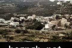 289-topaz-low-resolution-2x