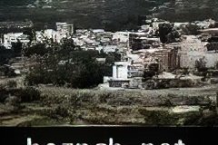 290-topaz-low-resolution-2x