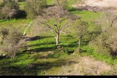 295-topaz-low-resolution-2x