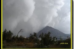 298-topaz-low-resolution-2x