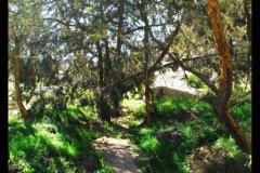 305-topaz-low-resolution-2x