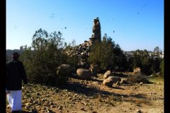 309-topaz-low-resolution-2x