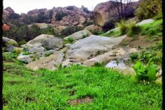 570-topaz-low-resolution-2x