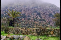 571-topaz-low-resolution-2x