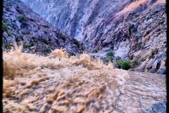 573-topaz-low-resolution-2x