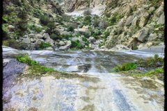 577-topaz-low-resolution-2x