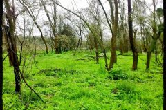 578-topaz-low-resolution-2x