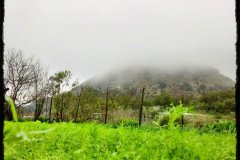 579-topaz-low-resolution-2x