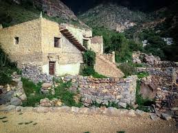 منوعات من المنطقة